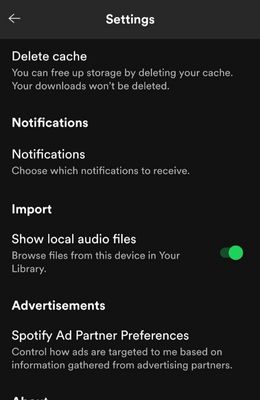 spotify display songs from local storage