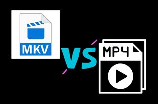 mkv vs. mp4