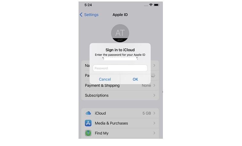 remember your iphone passcode and icloud password