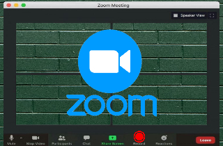 feature record audio only on zoom