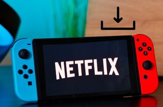 feature can you watch netflix on switch
