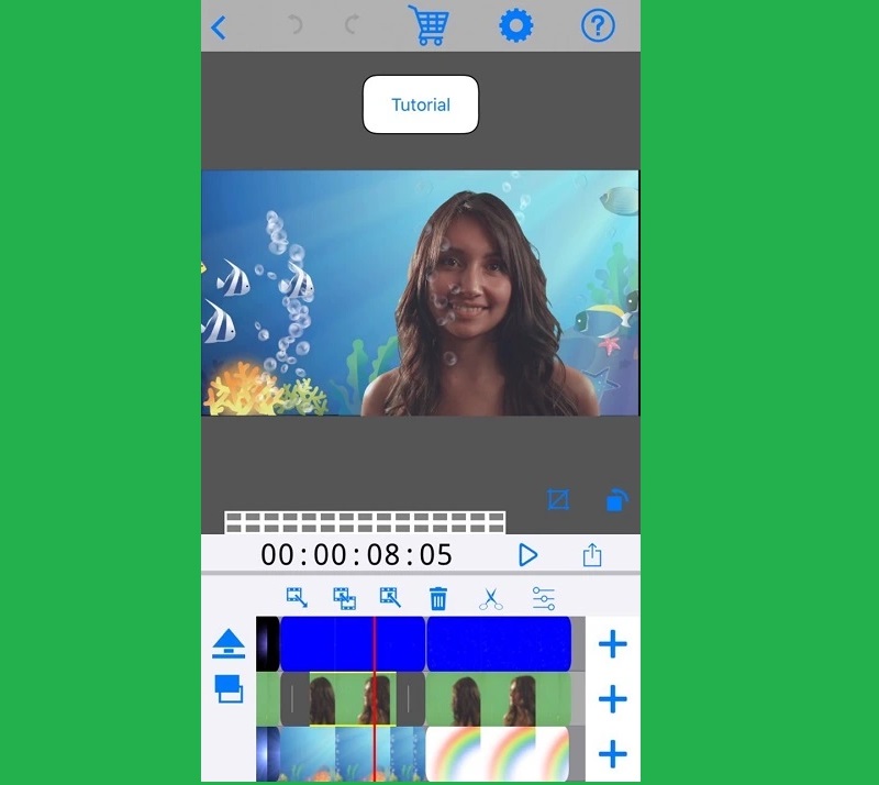 veescope live green screen interface