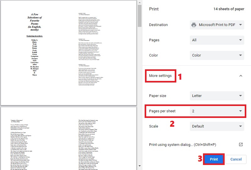 hit more settings, pages per sheet, and click print