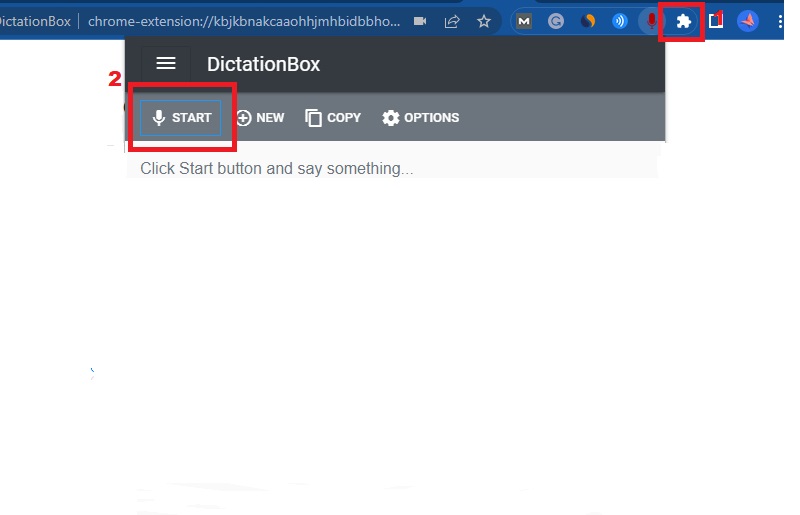 click extension icon and hit the start button