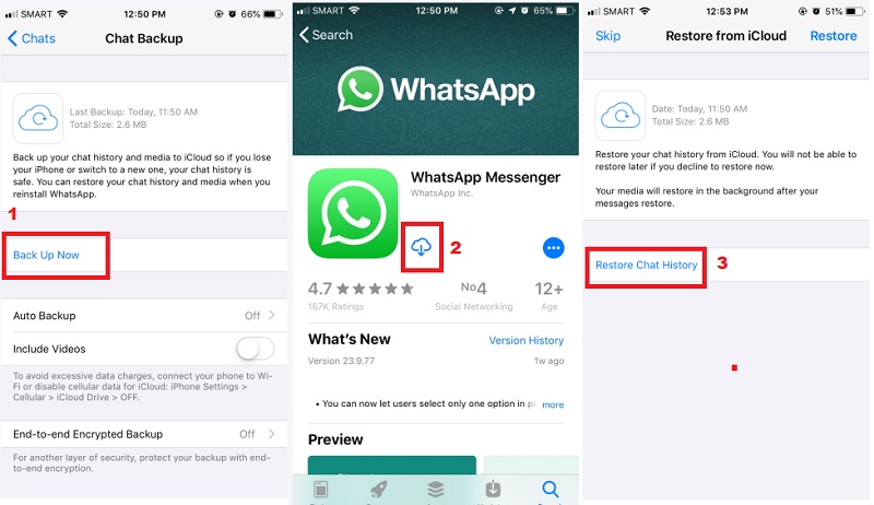 backup first, delete and reinstall the app, then click restore chat history