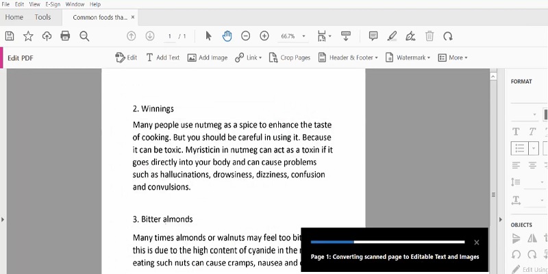 convert file to word format