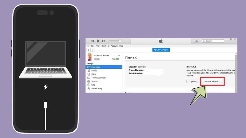 put your device in dfu mode and reset