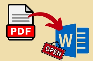 feature open pdf in word