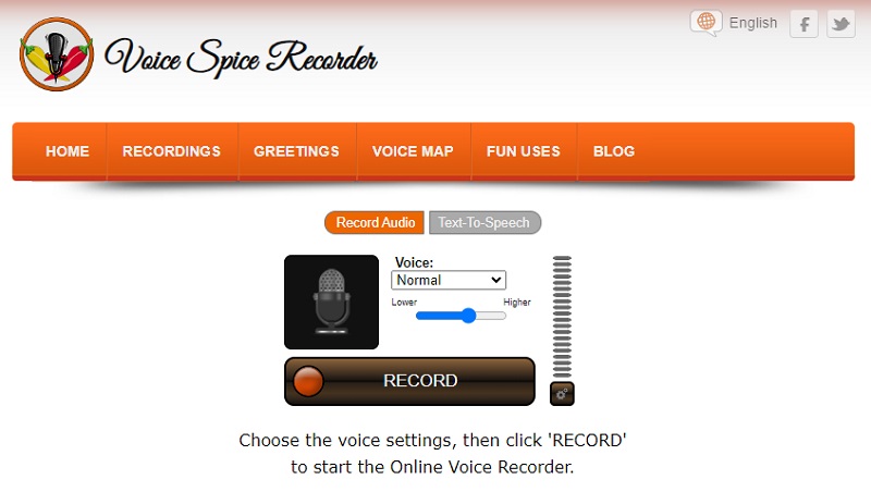 voice spice recorder interface