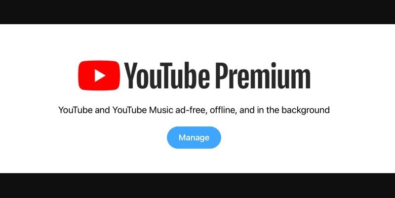 youtube downloader not working youtube premium