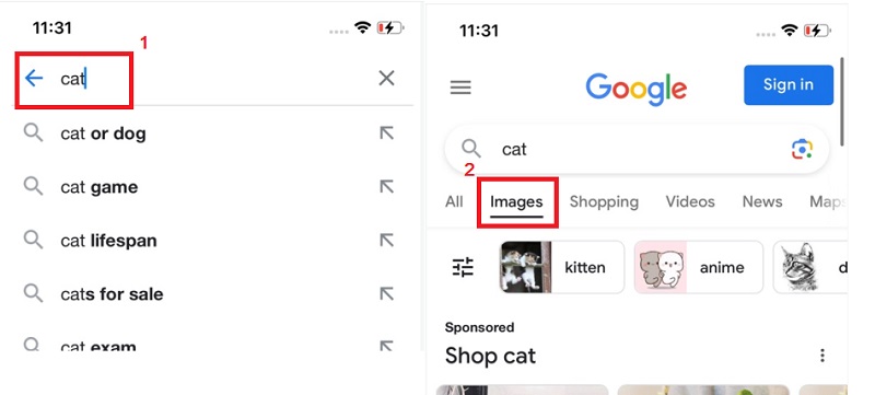 search for an image