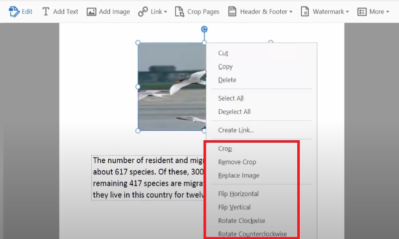 edit pdf in adobe reader managing images within pdf.