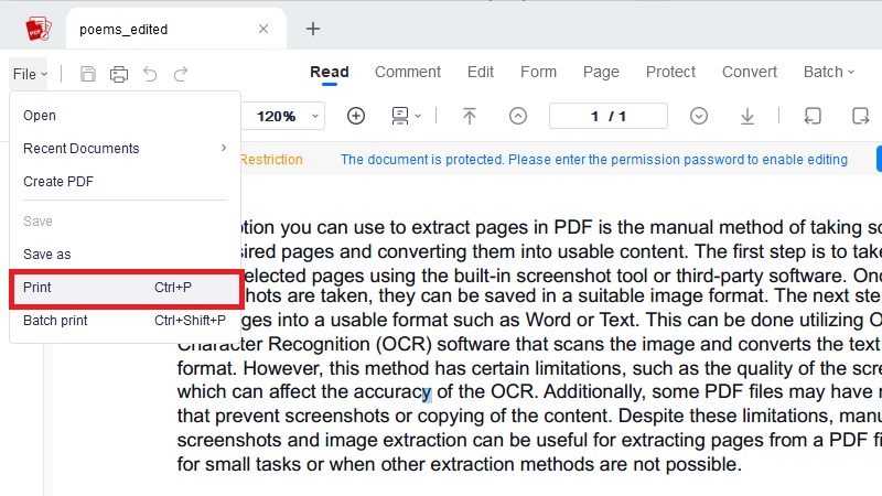 acepdf print feature interface