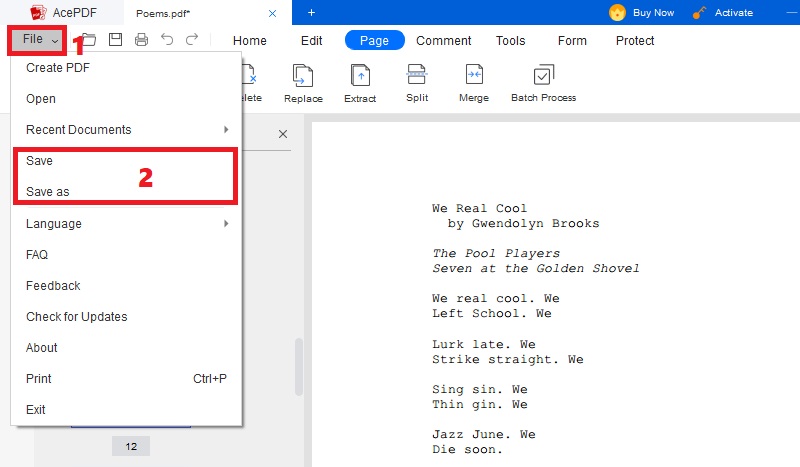 save the new version of the pdf