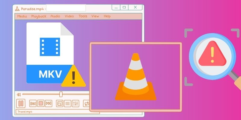 common reason why vlc not playing