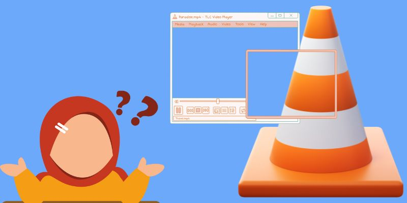 definition of vlc media player