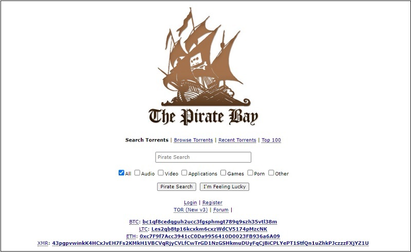 the pirate bay interface