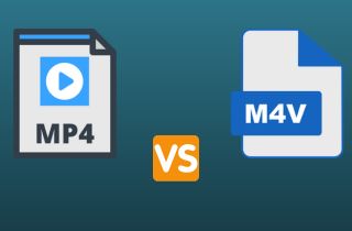 m4v vs mp4 feature