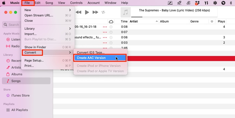convert the audio format