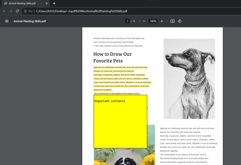 google chrome pdf interface