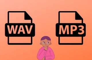 wav vs mp3 feature