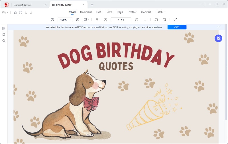acepdf editing dog birthday