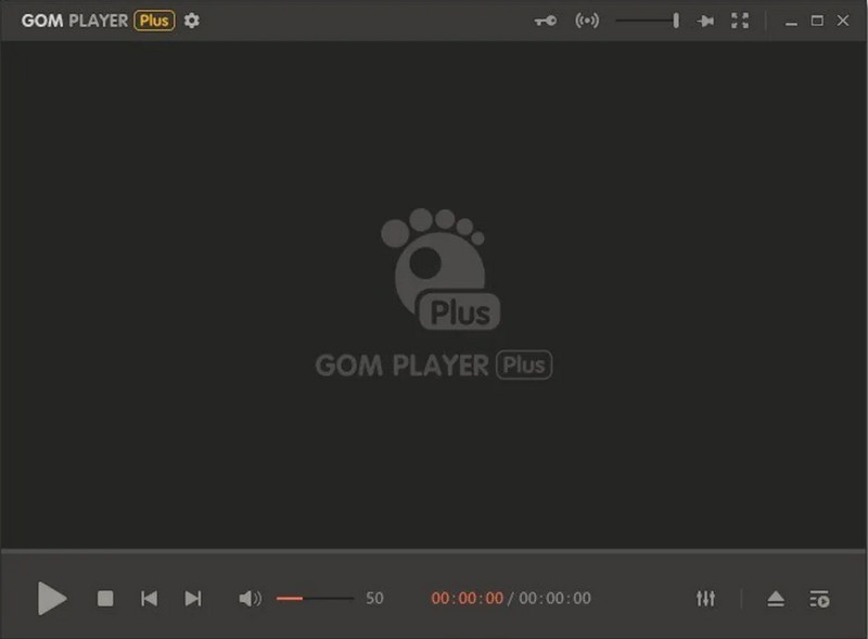 gom player interface