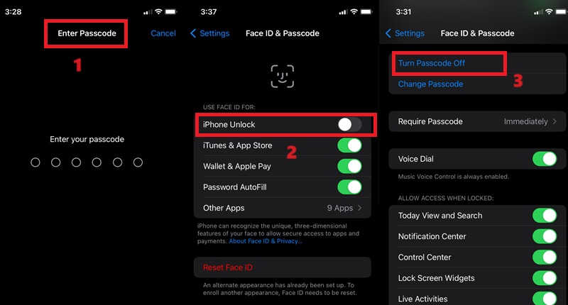 enter password, turn off face id and passcode
