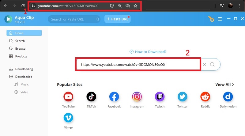 copy url