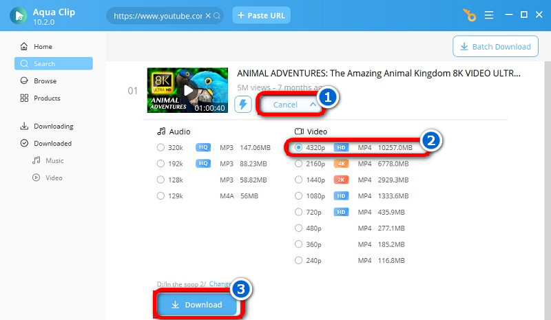 download youtube video in 8k