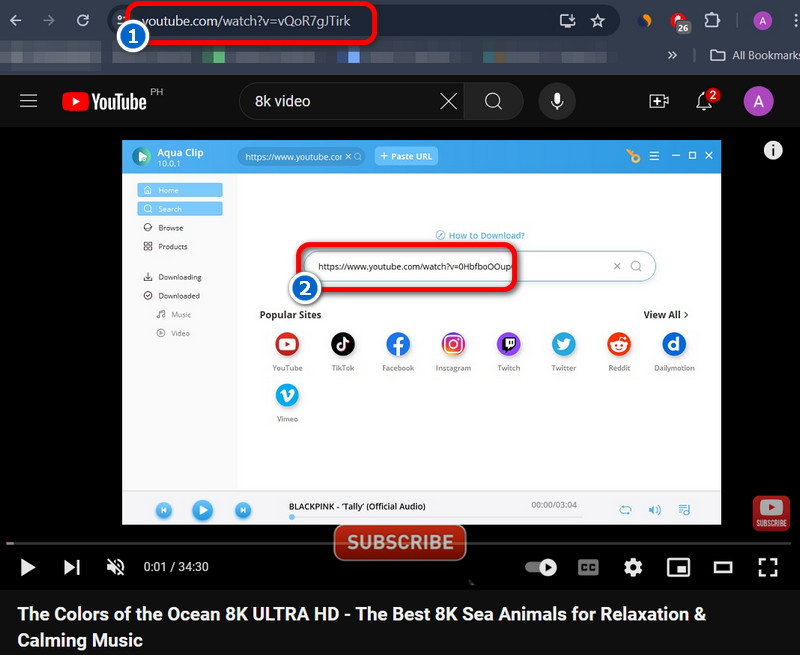 copy and paste the youtube link