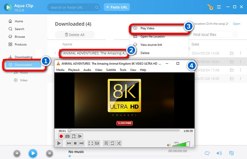 play the downloaded youtube video