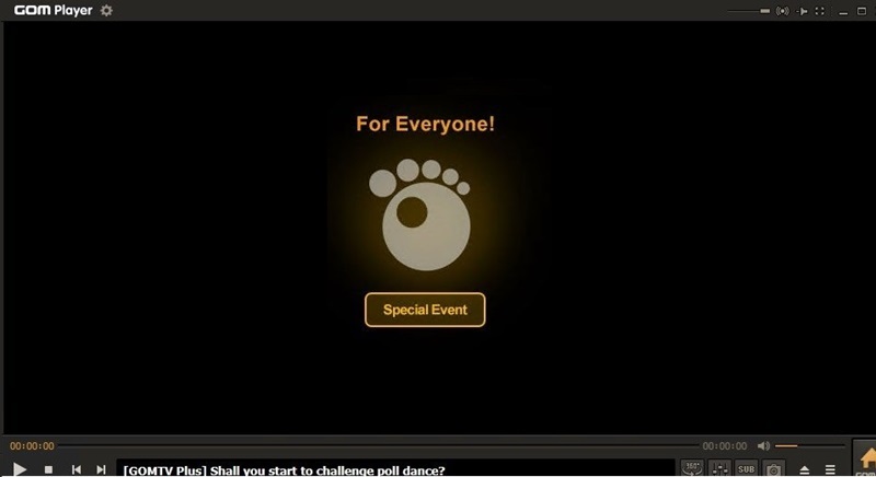 gom player interface