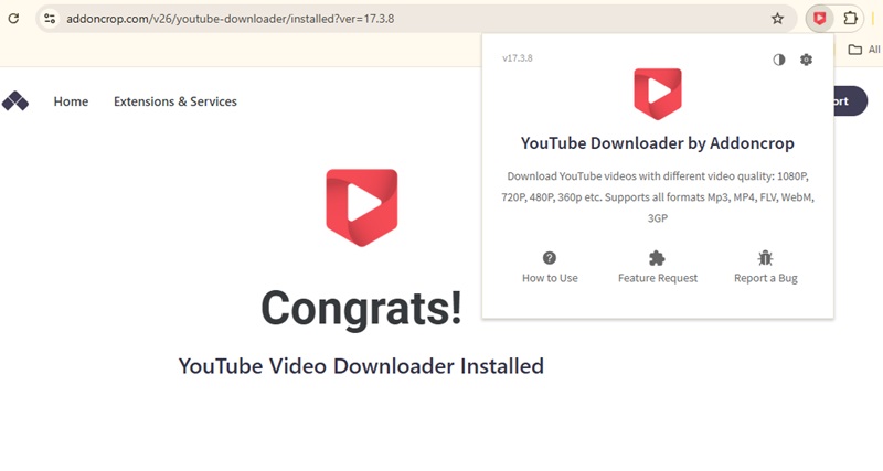download using chrome extension