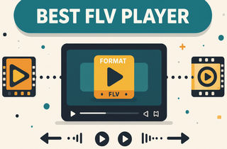best flv player