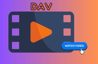 dav player