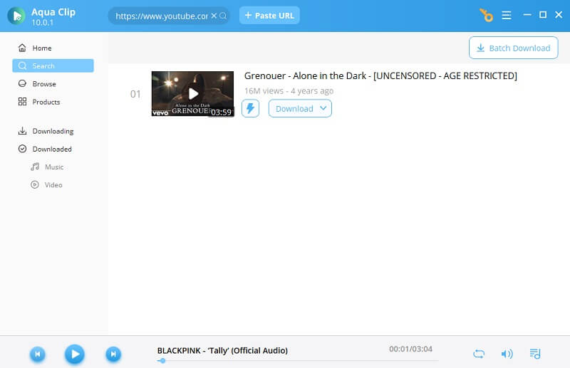 copy the url of youtube video