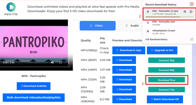 download the yt video