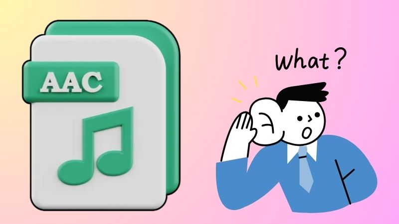 history of acc format