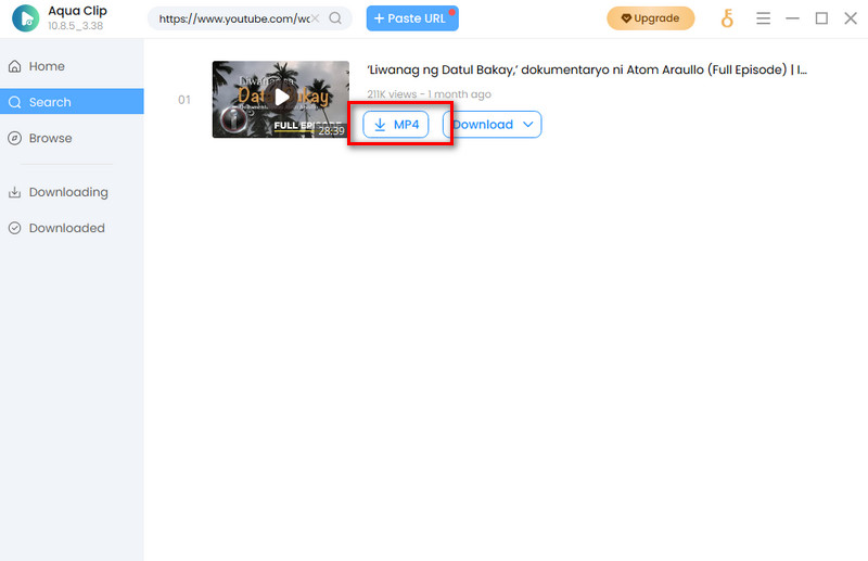paste the youtube link and download the video