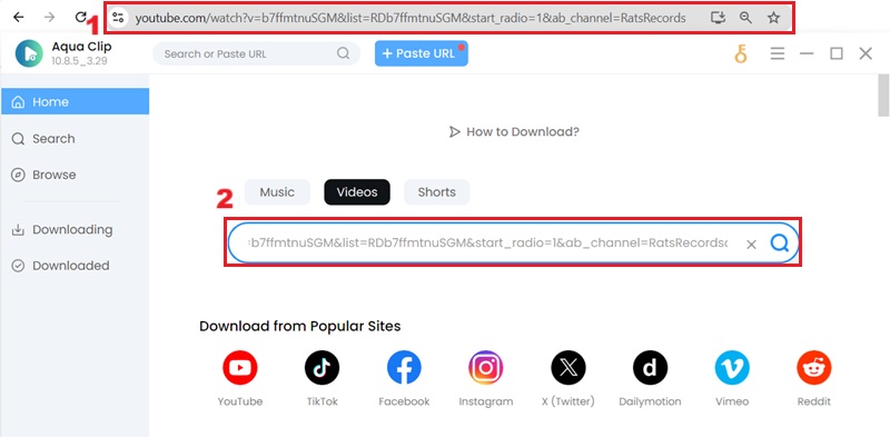 paste youtube url