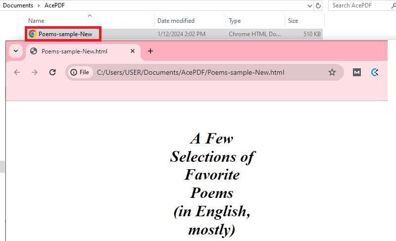 locate and check the converted file