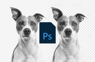 featured image remove background in photoshop