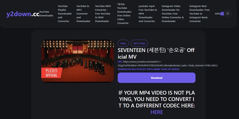 download youtube playlist y2down