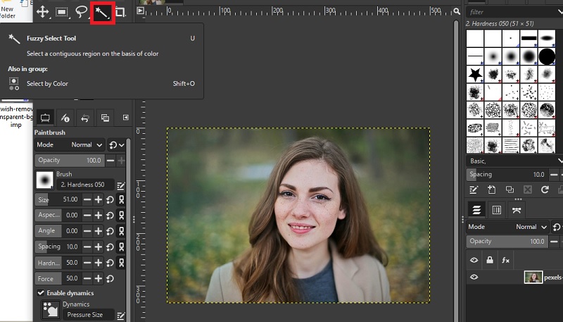 make background transparent in gimp fuzzy select tool