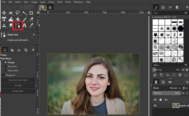 make background transparent in gimp using paths tool