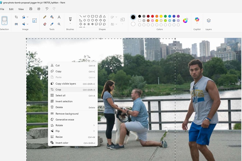paint crop a person out of a photo