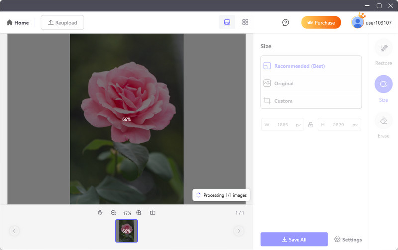 unblur image with acethinker picwish