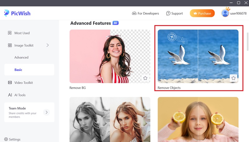 picwish interface