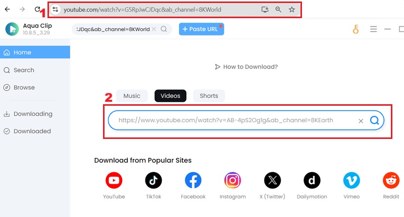 copy the url of the 8k video